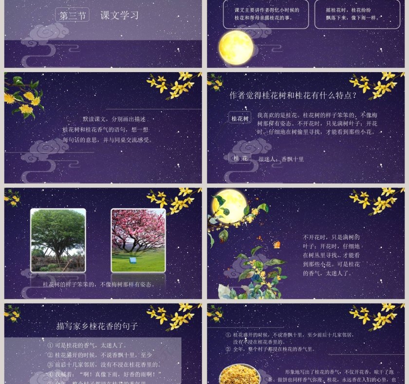 五年级语文课件PPT桂花雨第3张
