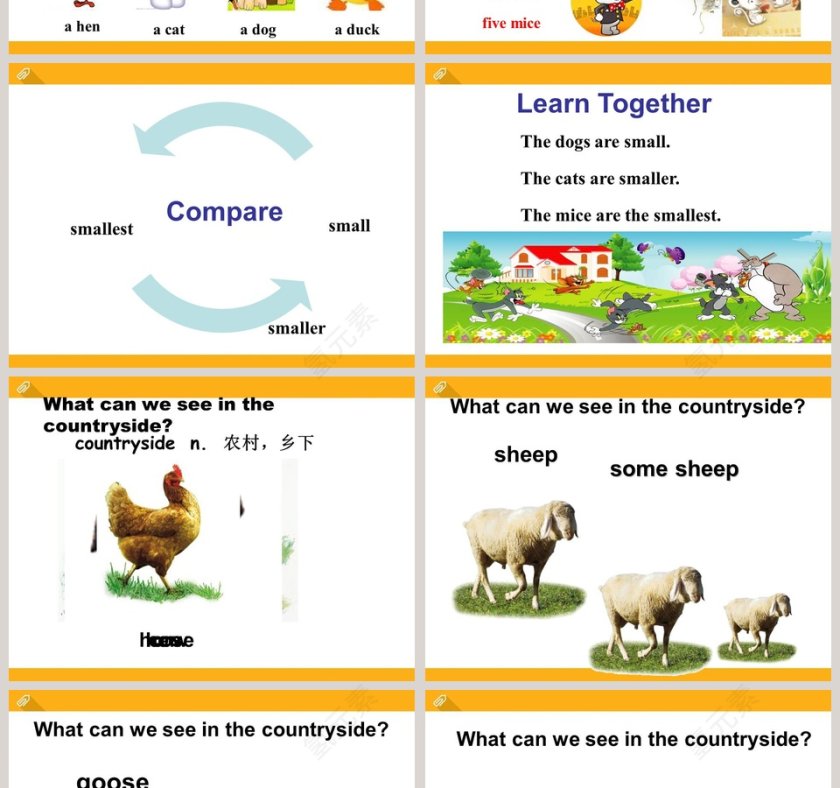 Unit 4  Topic 1-Which do you like better plants or animals Section A教学ppt课件第2张