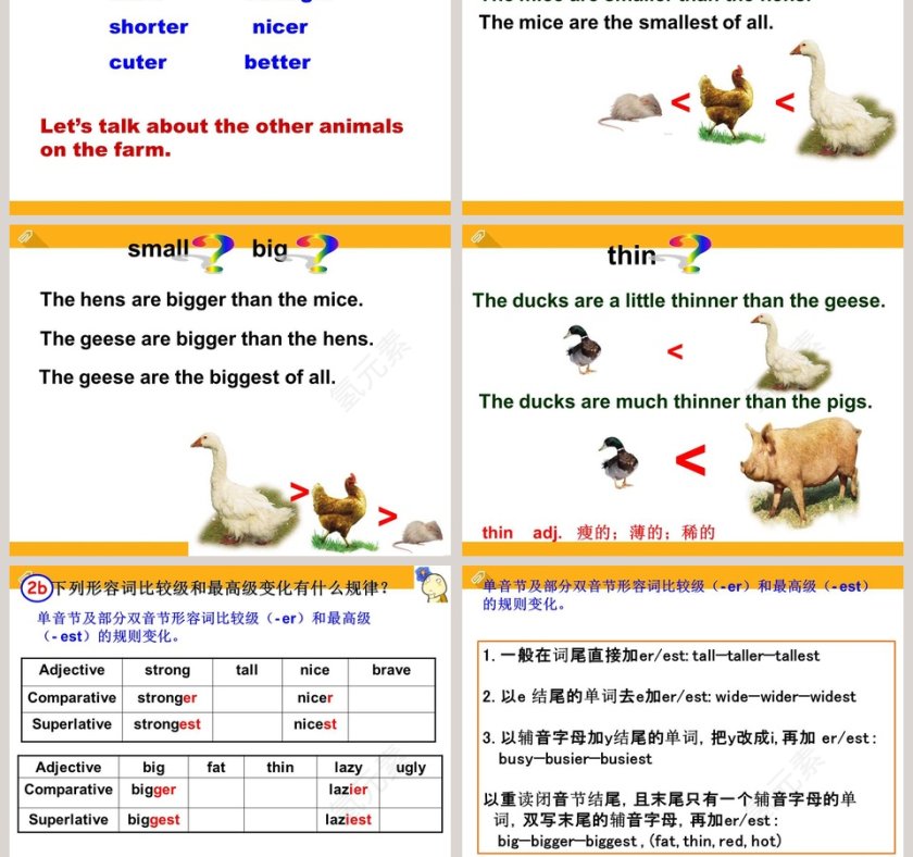Unit 4  Topic 1-Which do you like better plants or animals Section A教学ppt课件第5张