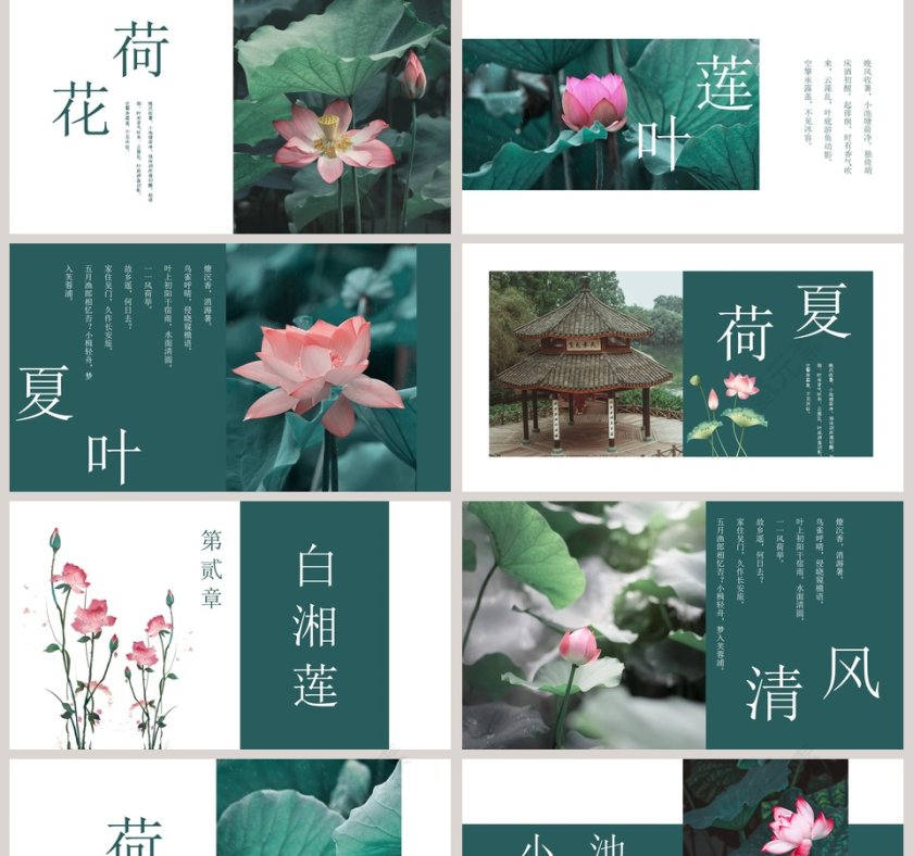 绿色清新夏荷教育培训PPT第2张