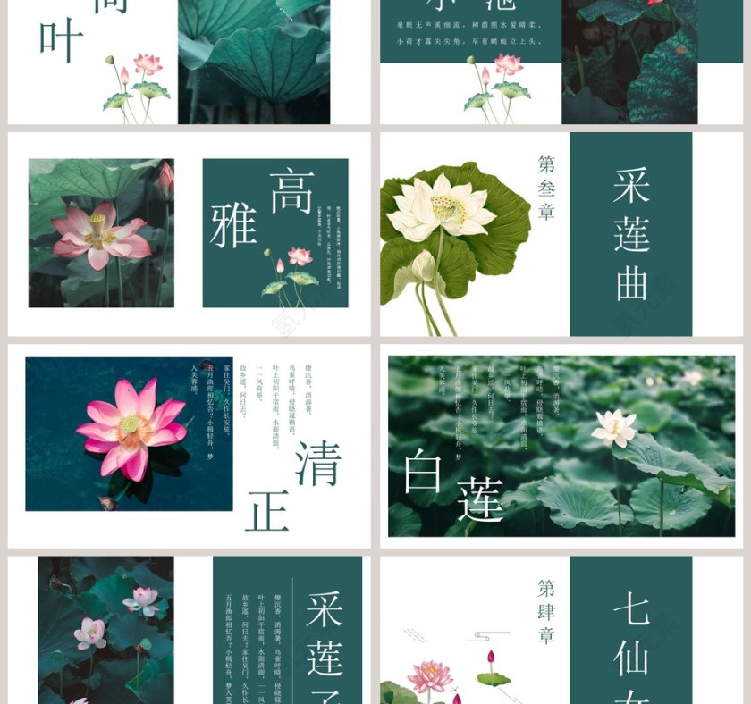 绿色清新夏荷教育培训PPT第3张