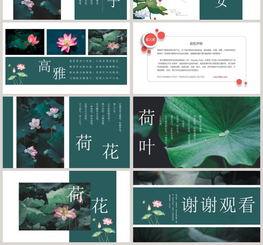 绿色清新夏荷教育培训PPT第4张