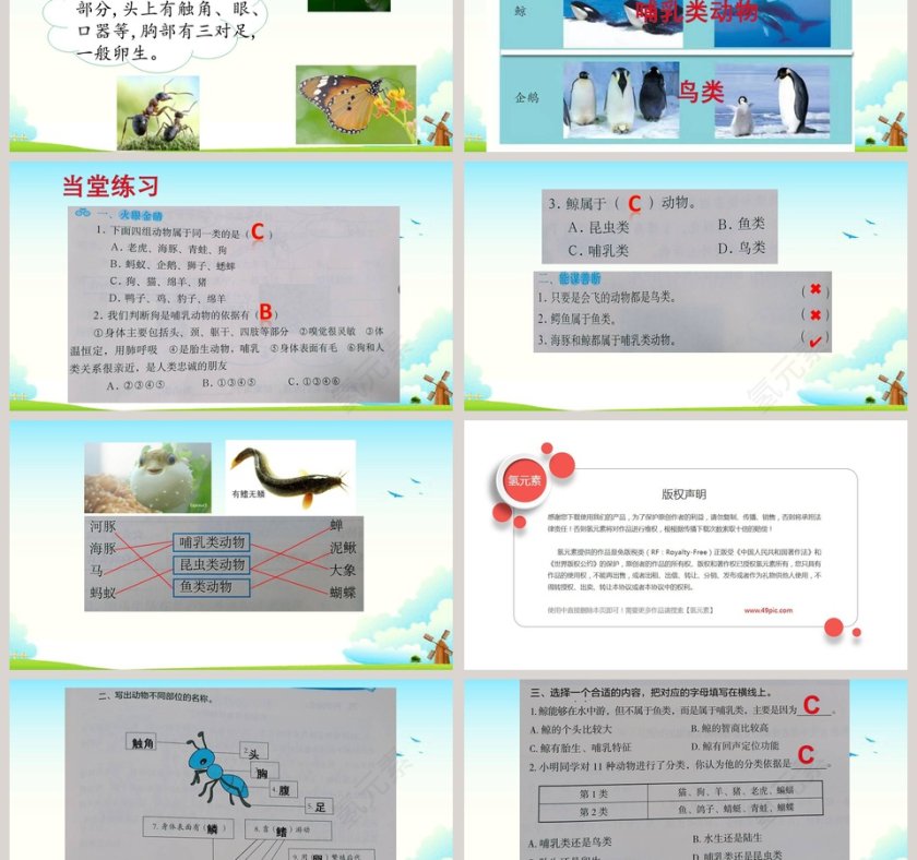 第二单元-教学ppt课件第3张