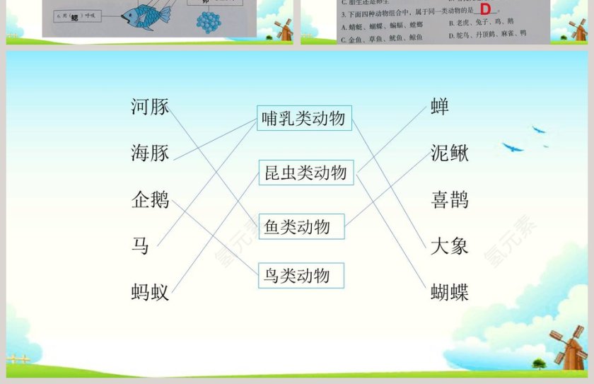 第二单元-教学ppt课件第4张