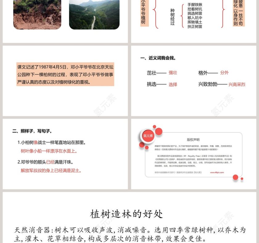 邓小平爷爷植树PPT课件第3张