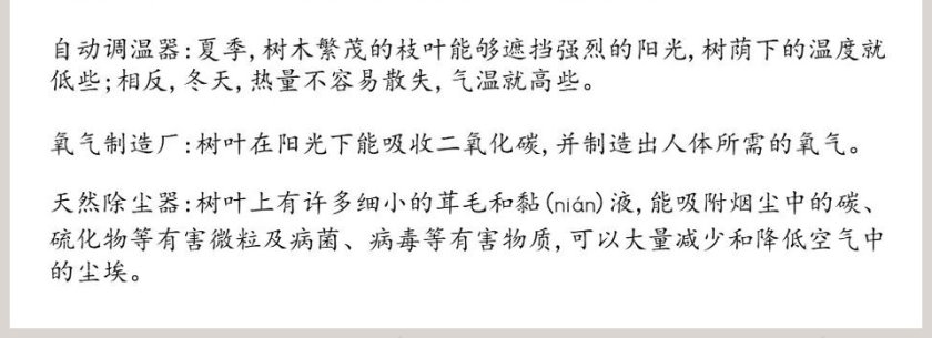邓小平爷爷植树PPT课件第4张