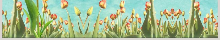 水彩手绘郁金香PPT模板教师说课课件PPT  第6张