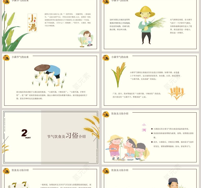 简约风中国二十四节气小满介绍PPT模板第2张