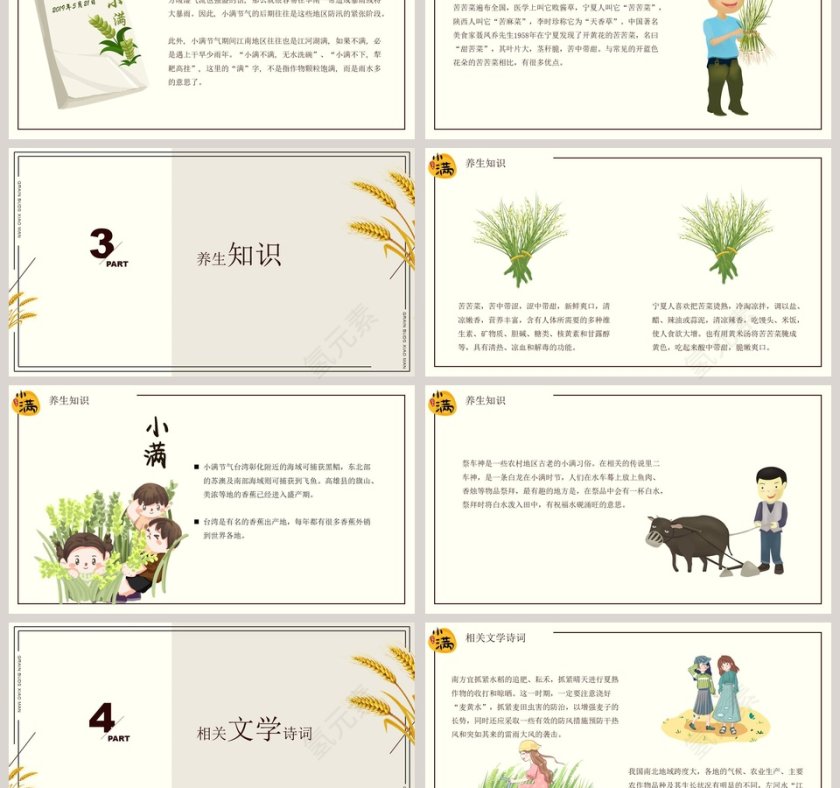 简约风中国二十四节气小满介绍PPT模板第3张