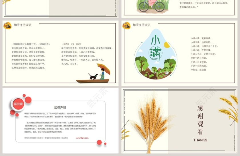 简约风中国二十四节气小满介绍PPT模板第4张
