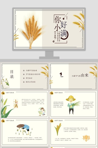 简约风中国二十四节气小满介绍PPT模板