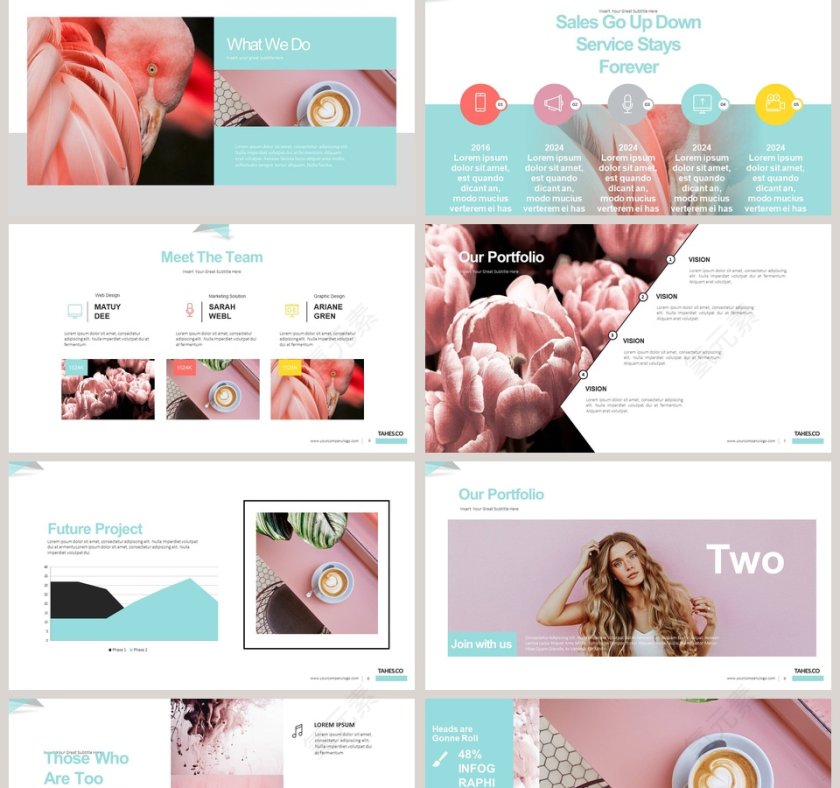 珊瑚色与海底世界工作总结PPT第2张