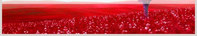 2018工作总结工作汇报动态PPT模板爱心公益PPT模板第6张