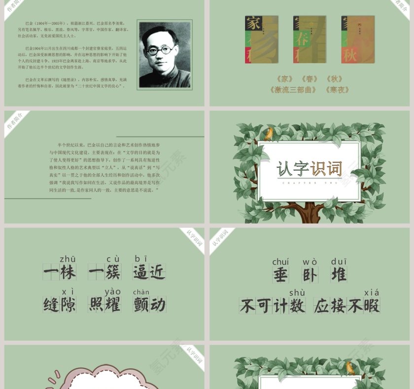 四年级语文课件《鸟的天堂》PPT第2张