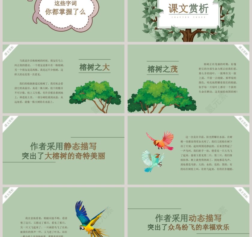 四年级语文课件《鸟的天堂》PPT第3张