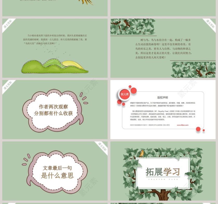 四年级语文课件《鸟的天堂》PPT第4张