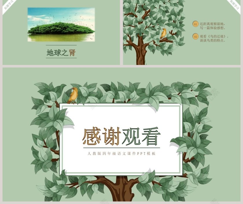 四年级语文课件《鸟的天堂》PPT第5张