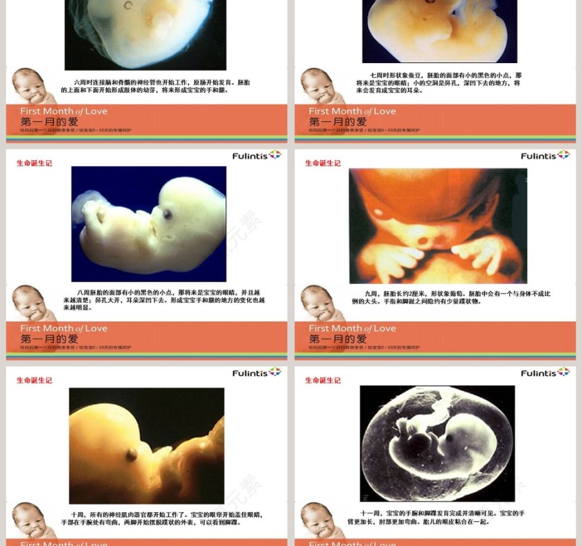 月子会所月子中心入职培训ppt第3张