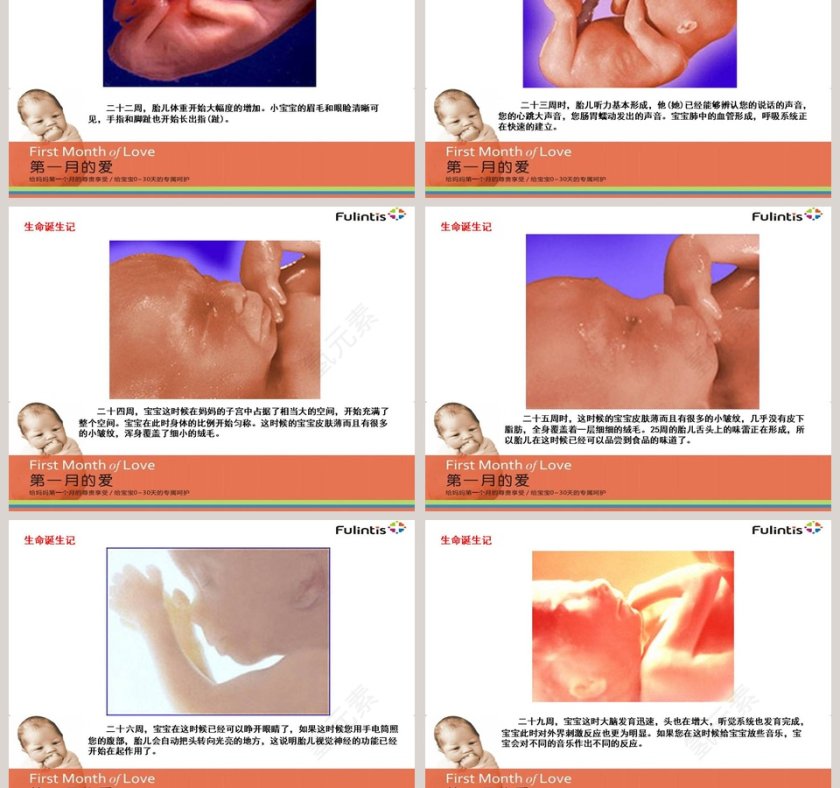 月子会所月子中心入职培训ppt第5张