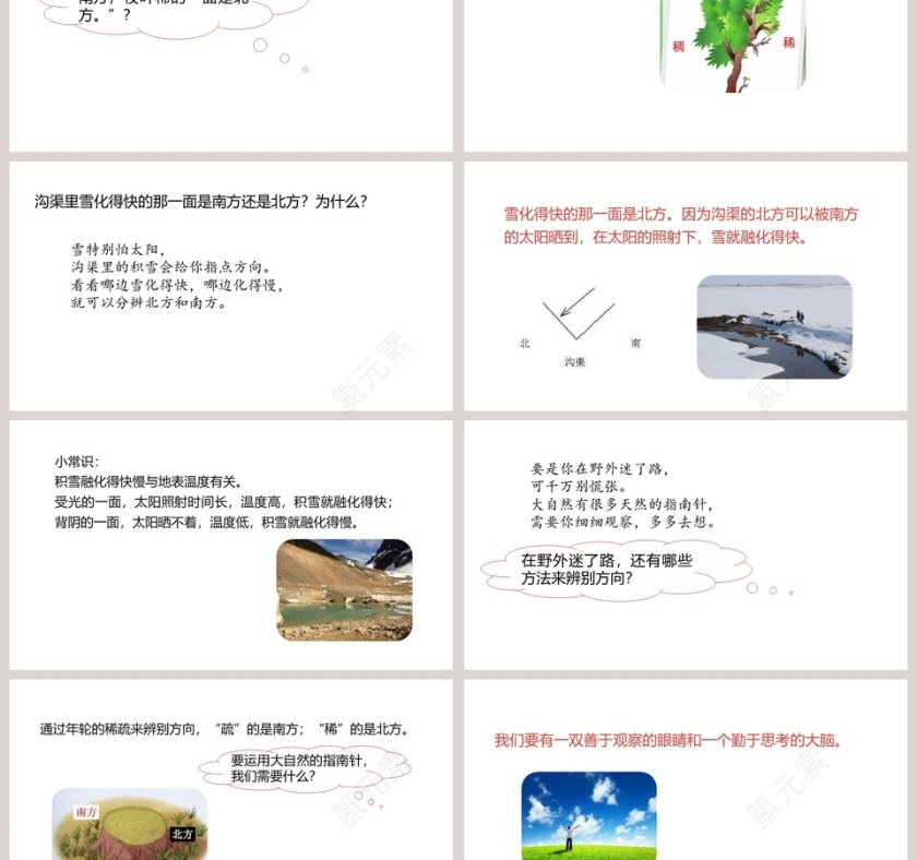 课文解读要是你在野外迷了路语文课件PPT第3张