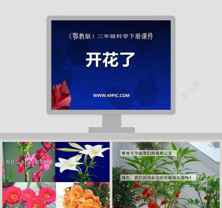 开花了-鄂教版三年级科学下册课件教学ppt课件第1张