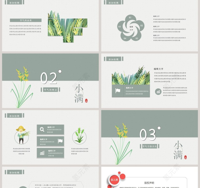 简约清新二十四节气小满PPT模板第2张