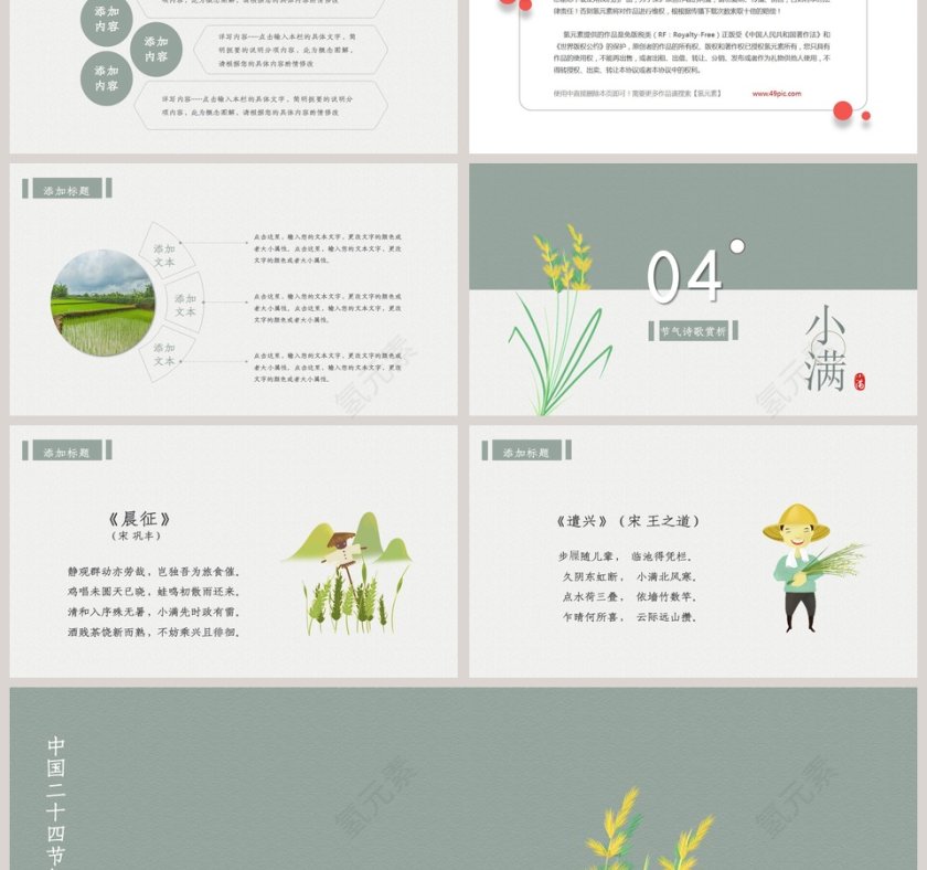 简约清新二十四节气小满PPT模板第3张