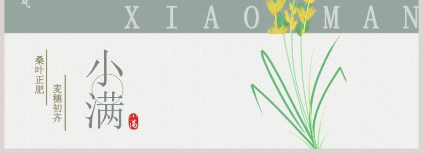 简约清新二十四节气小满PPT模板第4张