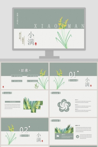 简约清新二十四节气小满PPT模板