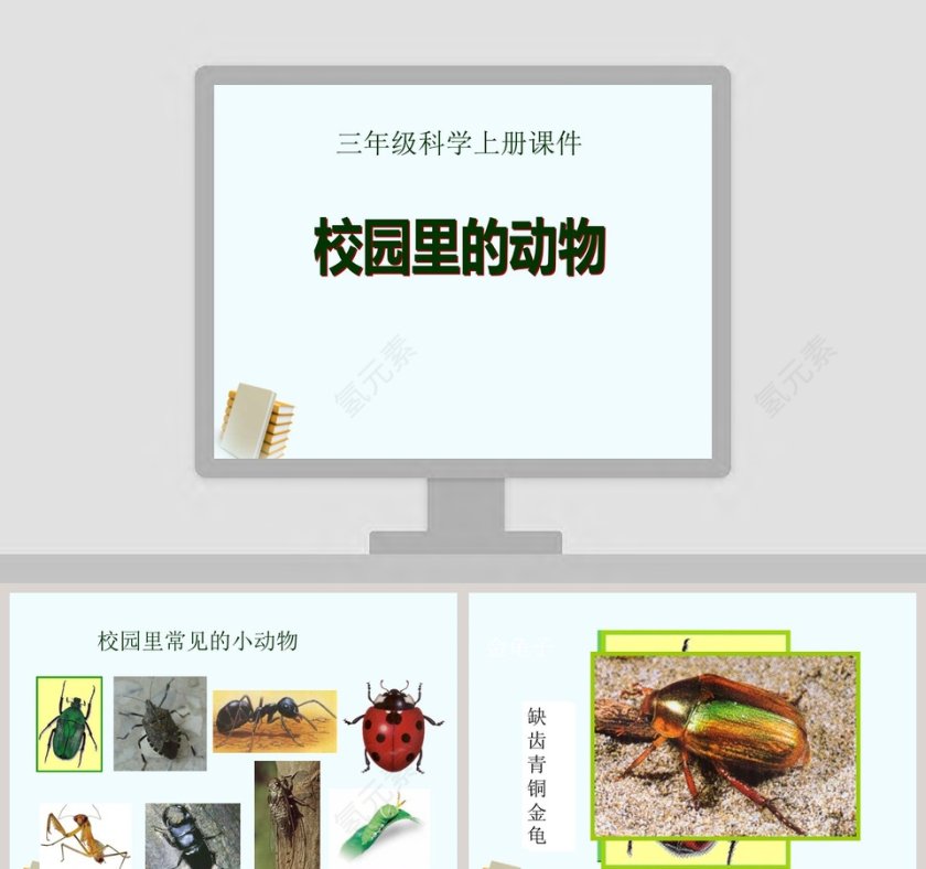三年级科学上册课件校园里PPT模板免费下载第1张