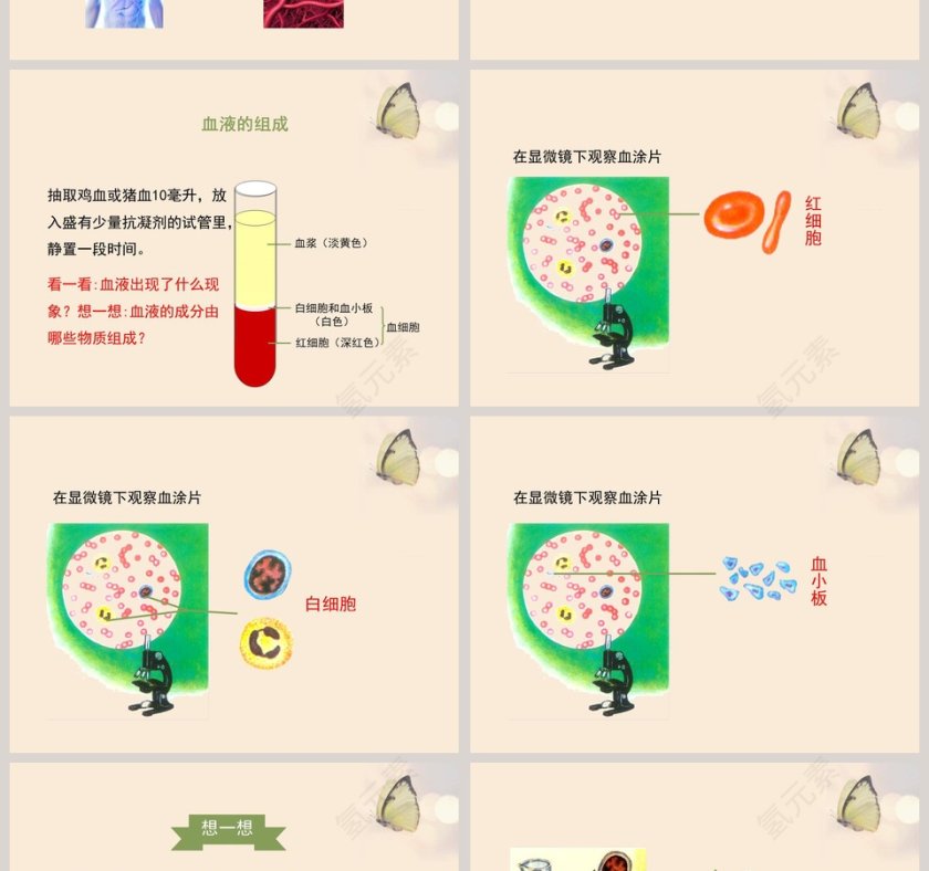 第一节-血液教学ppt课件第2张