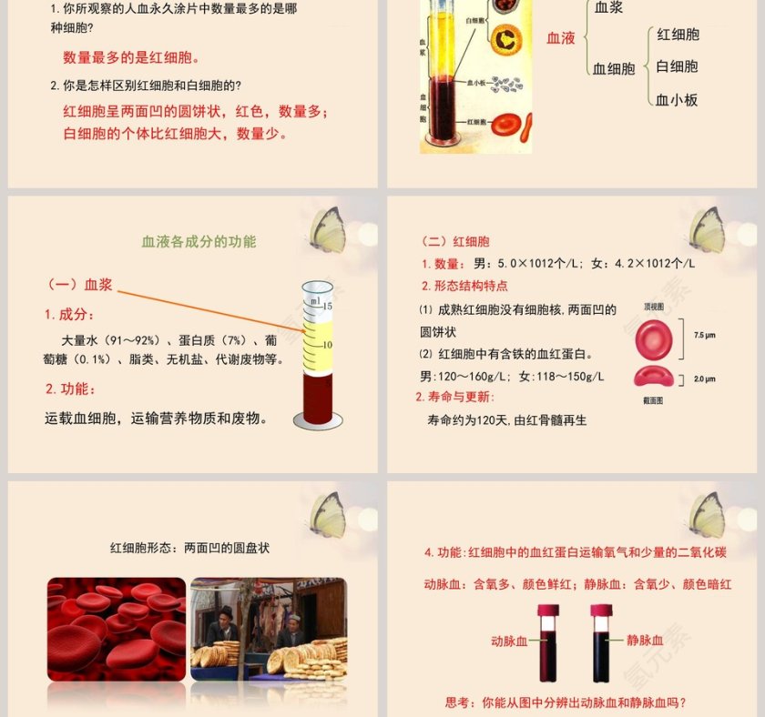 第一节-血液教学ppt课件第3张