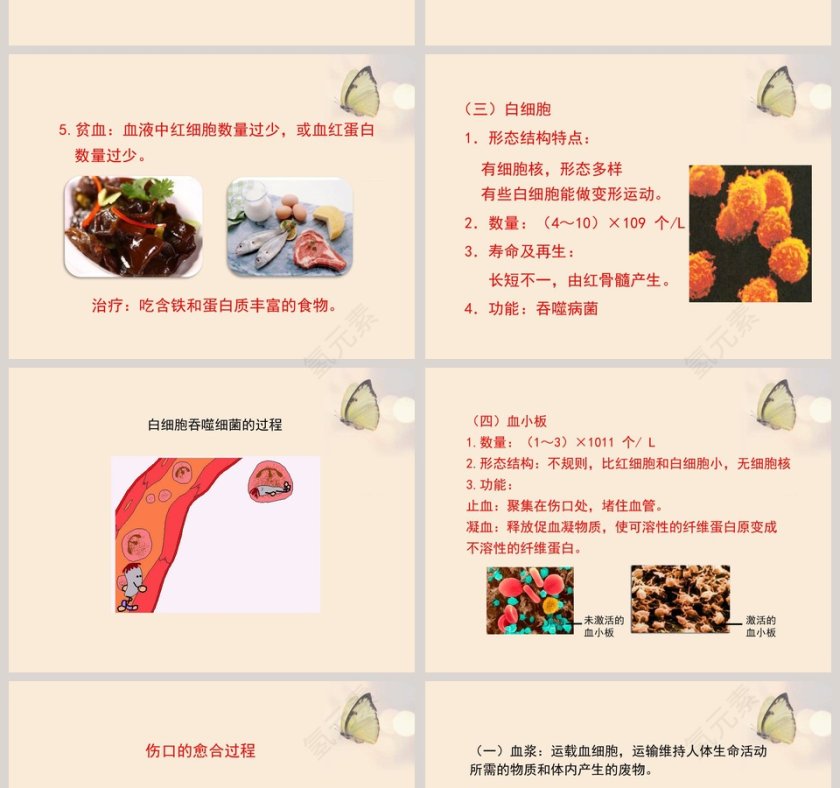 第一节-血液教学ppt课件第4张