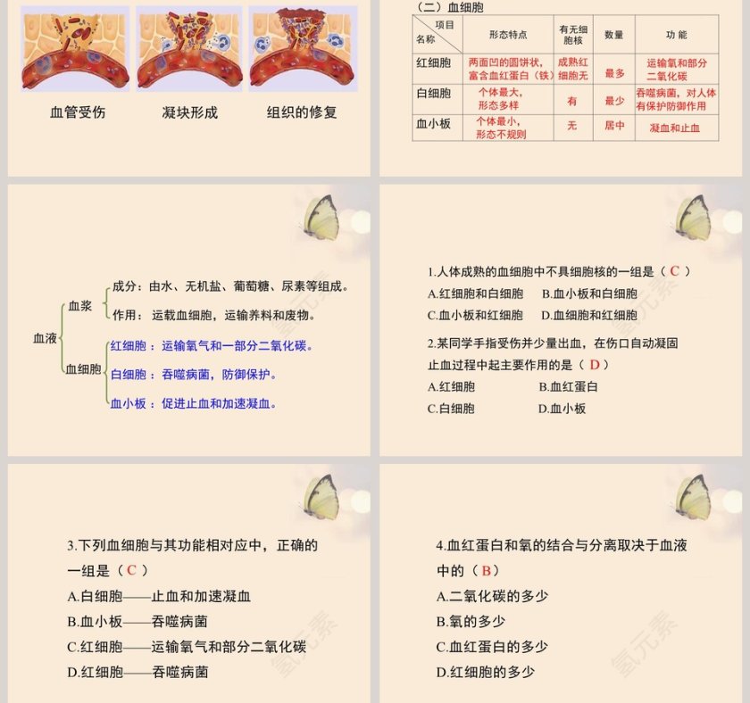 第一节-血液教学ppt课件第5张
