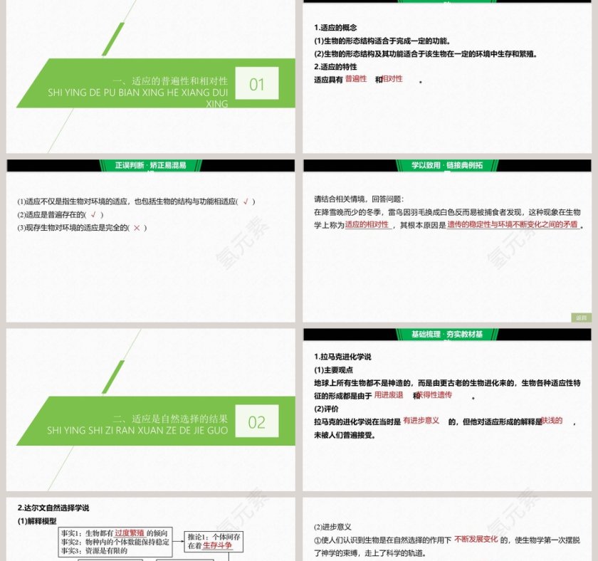 第6章生物的进化 PPT模板 - 医学护理行业第2张