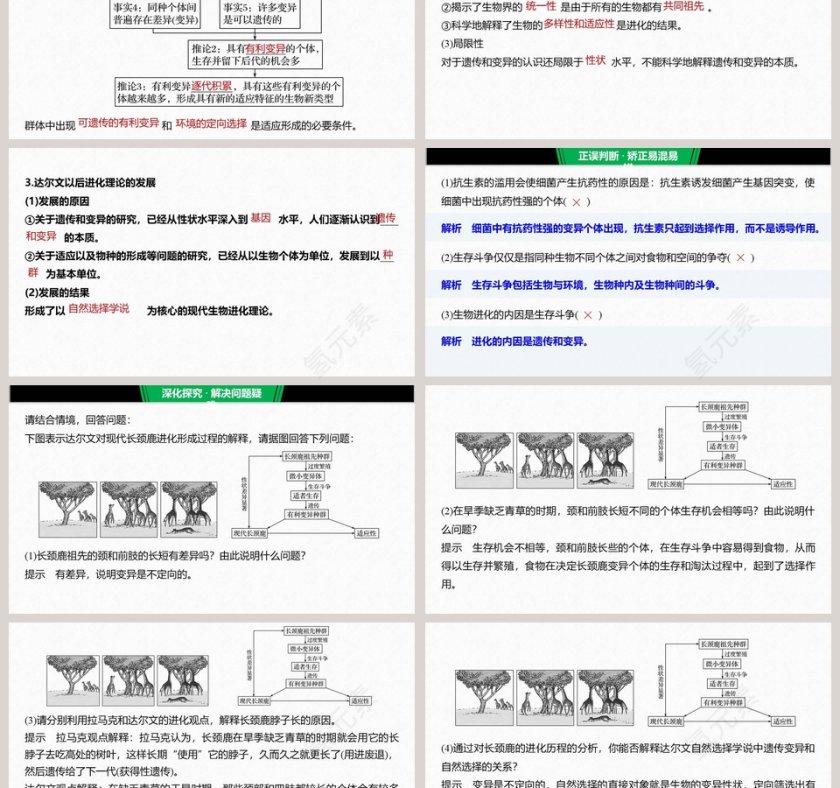 第6章生物的进化 PPT模板 - 医学护理行业第3张