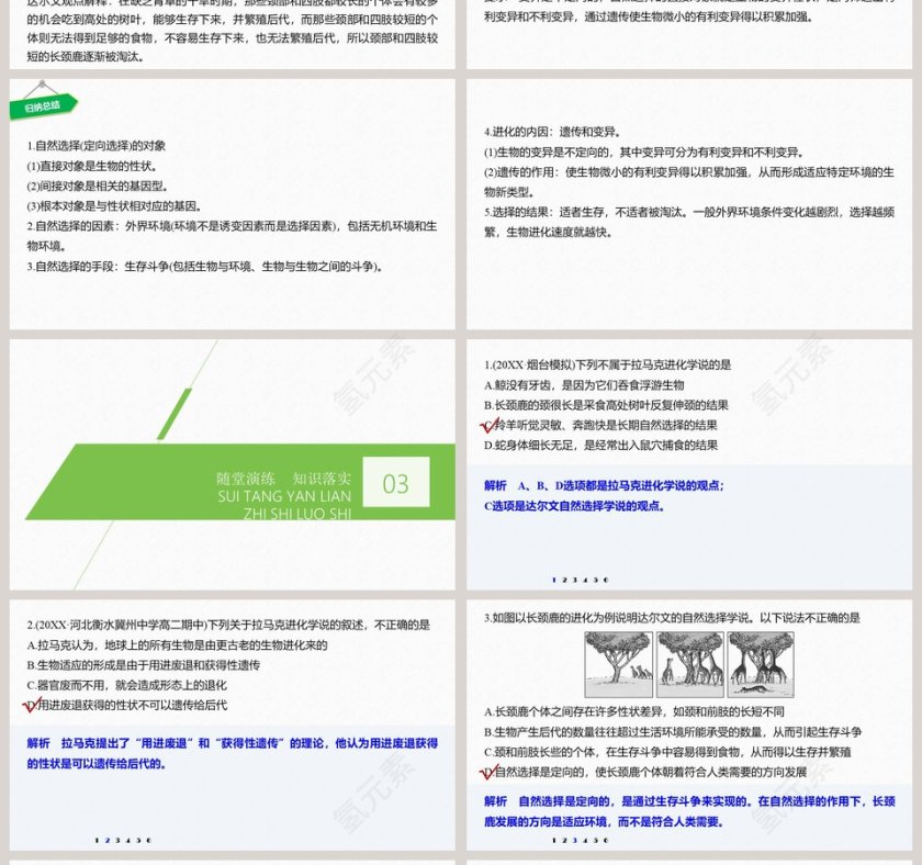 第6章生物的进化 PPT模板 - 医学护理行业第4张