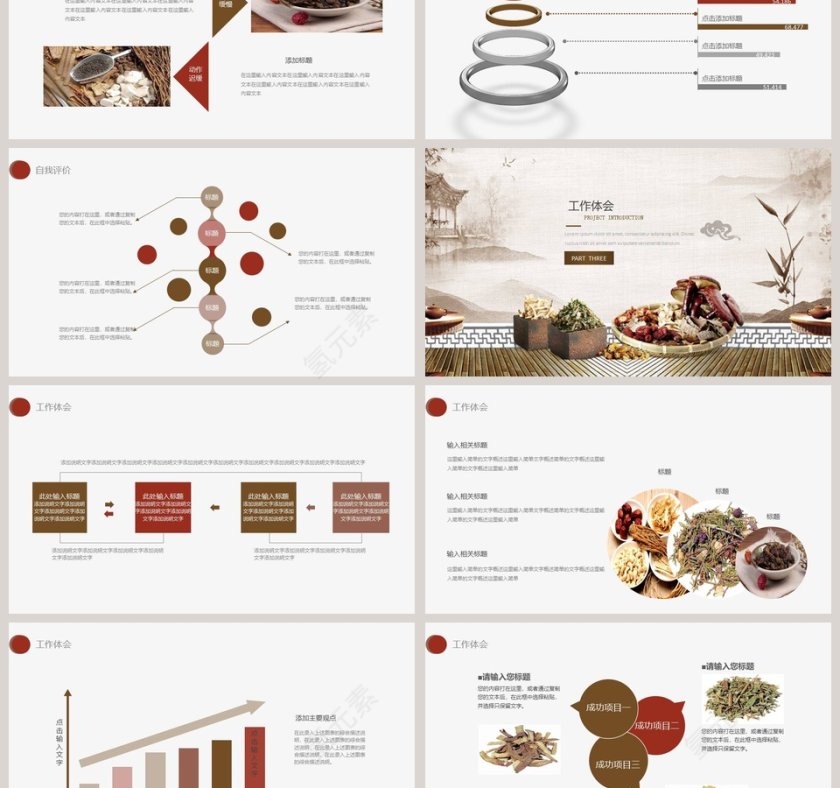 中医药材养生工作概述PPT第3张