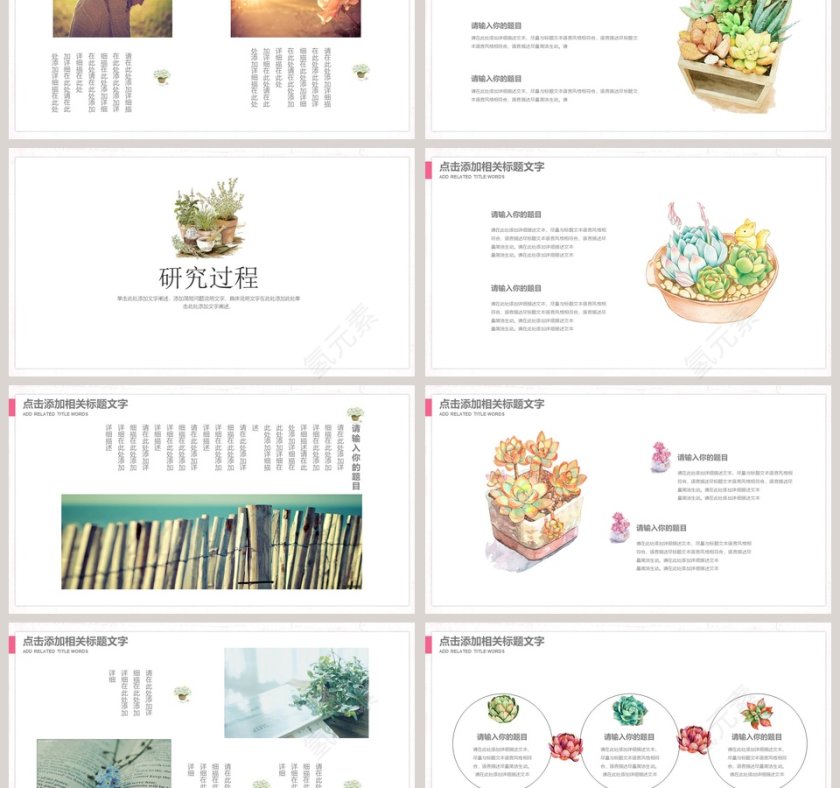 遇见多肉PPT第3张