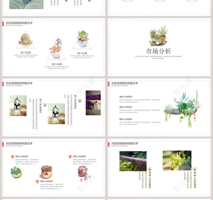 遇见多肉PPT第4张