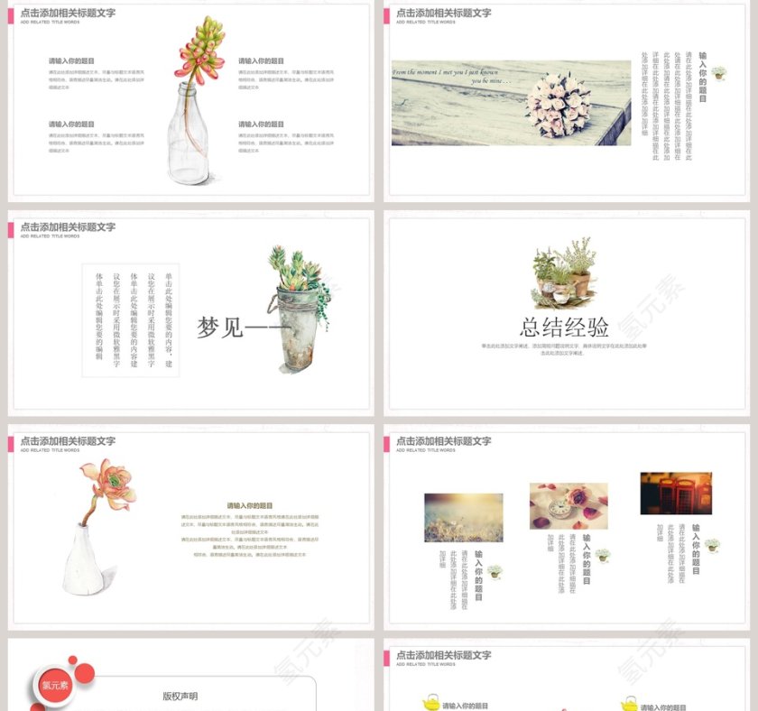 遇见多肉PPT第5张