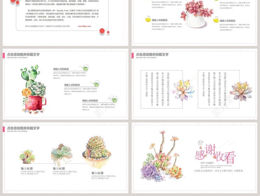 遇见多肉PPT第6张