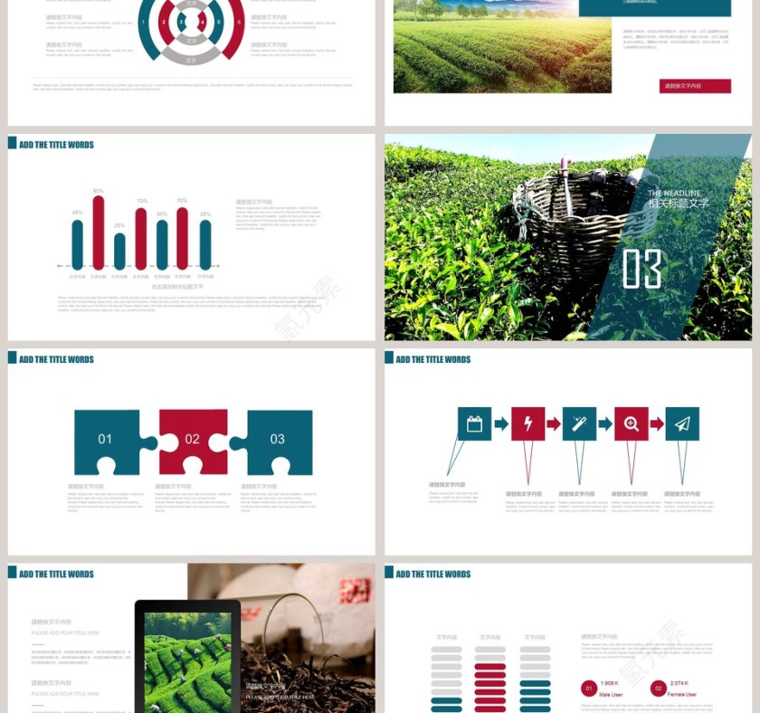 简约大气茶 花茶 茶馆宣传第3张