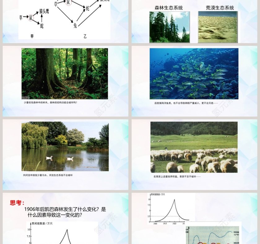 北师大版生物学八年级下册PPT模板大全第3张
