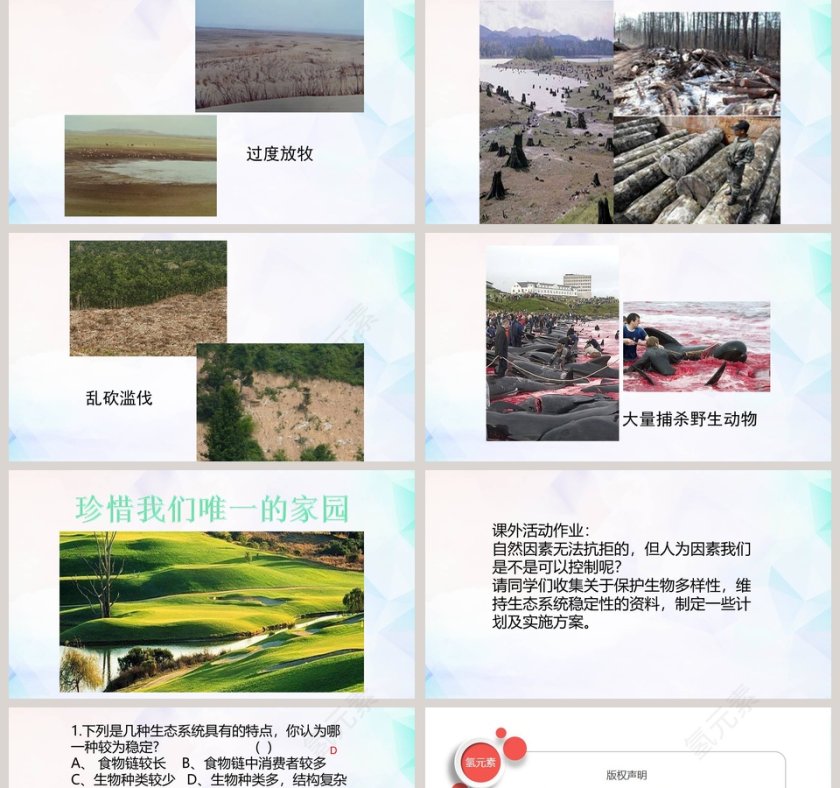 北师大版生物学八年级下册PPT模板大全第5张
