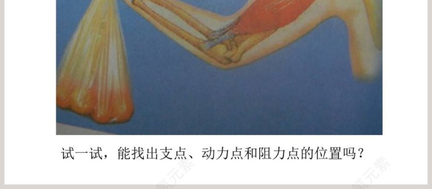 他能撬动地球吗-湘版五年级科学上教学ppt课件第4张