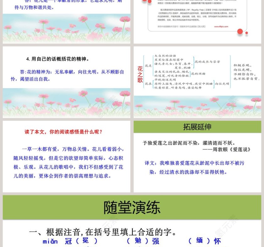 课文解析六年级语文上册花之歌语文课件PPT第3张