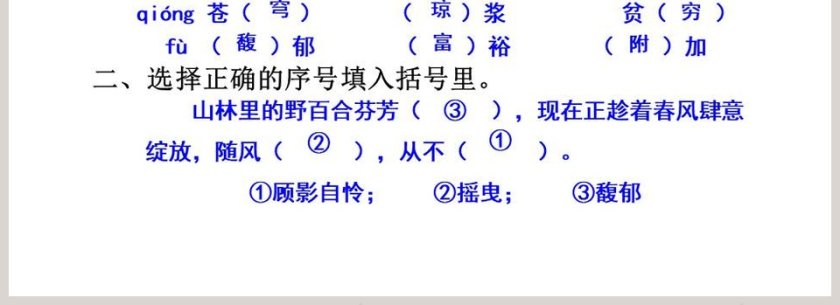 课文解析六年级语文上册花之歌语文课件PPT第4张