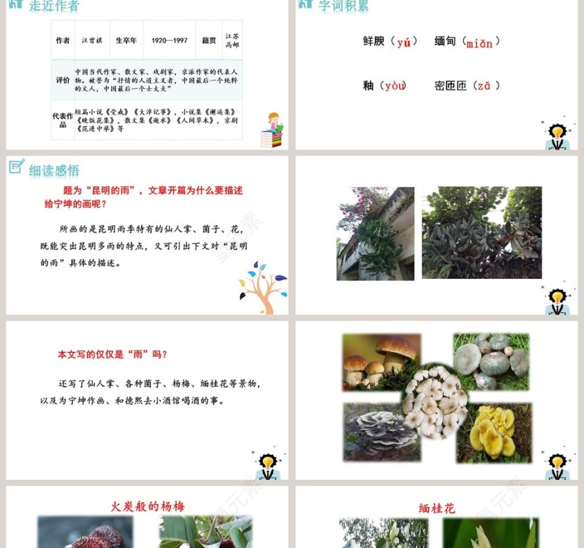 课文解析昆明的雨语文课件PPT第2张