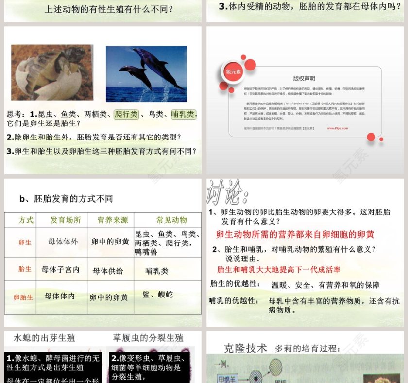 -动物的生长时期教学ppt课件第4张